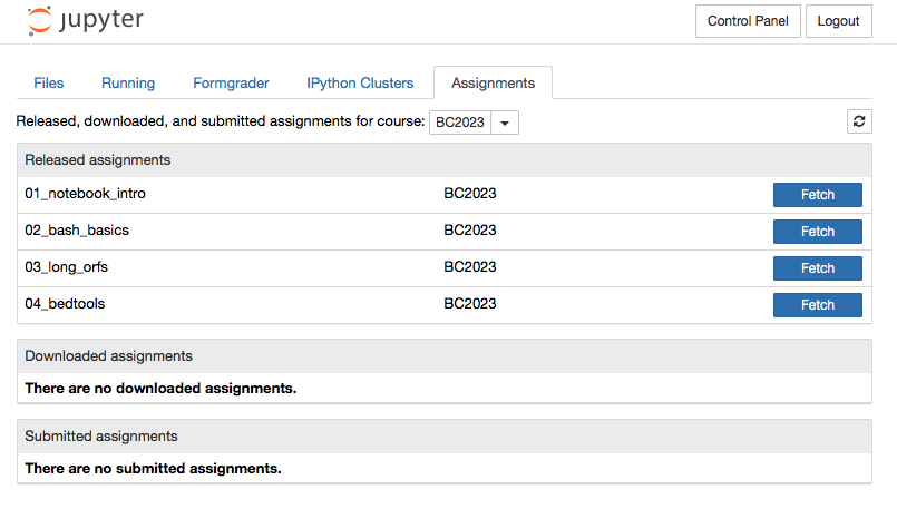 screenshot showing assignments tab in jupyter notebook