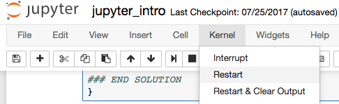 restart kernel